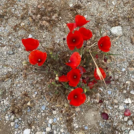 Baetylus Apartment *